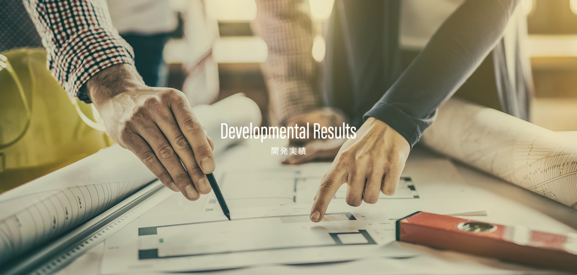 Developmental Results 開発実績